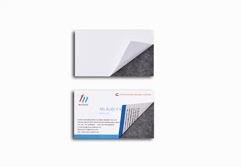 Magnetic business card 